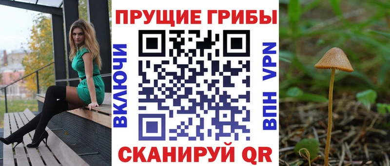 Купить Дегтярск Псилоцибиновые грибы мицелий